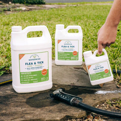 Early Intervention Kit | Flea & Tick Spray